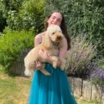 Aimee Law - @minipenguintowers - Instagram