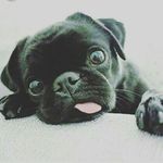 aimee_law_xoxo - @aimee_law_xoxo - Instagram