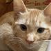 Amy Lundstrom - Facebook