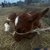 aimee martinez - @aimee.martinez90 - TikTok