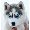 aimee Mather - @aimee.mav - TikTok