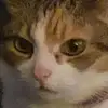aimeematherpriv - @aimeematherpriv - TikTok
