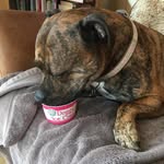 Aimee Mayo - @ai.mee8552 - Instagram