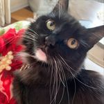 Aimee McBride - @aimee476 - Instagram