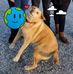 Aimee McBride - Facebook