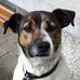 Aimee McDowell - Facebook