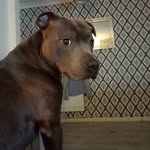 Aimee Mcdowell - @aimee_mcdowell10 - Instagram