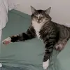 Amie McGee - @amie.the.queen - TikTok