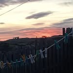 Aimee Mcmaster - @mcmaster3681 - Instagram