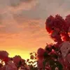 Aimee McMaster - @user97279995 - TikTok