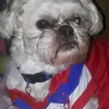 user7167420512985 - @aimeemcmaster22 - TikTok