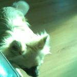 Aimee Messenger - @tiffany_the_worm - Instagram