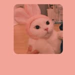 Aimeé Millán - @millanaimee - Instagram