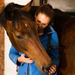 Aimee Moss - @amossequestrian - Instagram