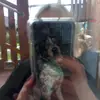 aimeemotte - @aimeemotte - TikTok