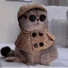 aimeemozingo1 - @aimeemozingo1 - TikTok