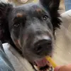 Aimee.Müller - @aimee_muller55 - TikTok