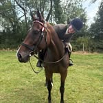 @aimee.murray_ - Instagram