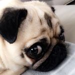 Aimee Murray - @aimeemurray3315 - Instagram