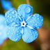 Aimee Murray - Facebook