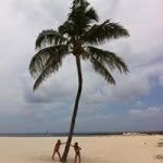aimeenance - @pmellig_ - Instagram