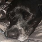 Aimee Nelson - @amsdt2022 - Instagram