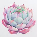 𝑨𝒊𝒎𝒆𝒆 𝑵𝒆𝒔𝒃𝒊𝒕𝒕 - @aimeenesbitt.8 - Instagram