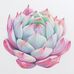 Aimee Nesbitt Designs - Facebook