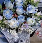 Aimee Nguyen - Facebook