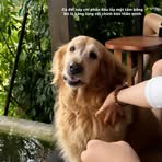 Aimée Nguyen - Facebook