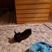 Amy Nickerson - Facebook