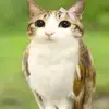 aimeenotfr - @aimeenotfr - TikTok