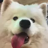 Noble Aimee - @noble.aimee - TikTok