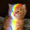 ♡LILI CUTE RAIMBOW☆ - @aimeeocampovelazq0 - TikTok