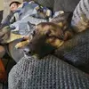 Aimee Ogden - @aimee.ogden0 - TikTok