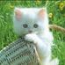 Umy Aliyah - Facebook