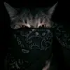 aimeeolivas1 - @aimeeolivas1 - TikTok