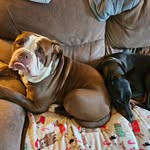 Aimee Orum - @ca2oh_aimee - Instagram