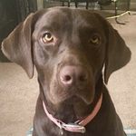 Aimee Ozment - @lucy_im_home19 - Instagram