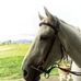 Aimee Parker - Facebook