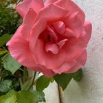 Aimee Painter - @painter2108 - Instagram
