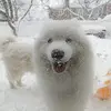 aimeemariepalin - @aimeemariepalin - TikTok