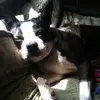 aimeepennhenard - @aimeepennhenard - TikTok