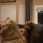 Aimee Perdue Donaldson - @aimeeperduedonaldson - Instagram