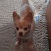 Aimee Petersen - Facebook