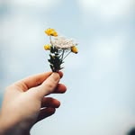 Ваша маленькая любовь - @petite_et_aimee - Instagram