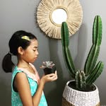 PETITE AIMEE PLANTS - @petite.aimeew - Instagram
