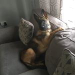 Aimee Huntley Poole - @mimi_whats_gucci - Instagram