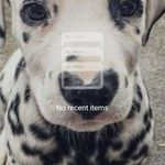 Aimee Porter - @aimeeporter13 - Instagram