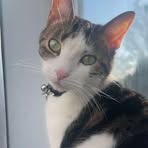 Aimee Potter - Facebook